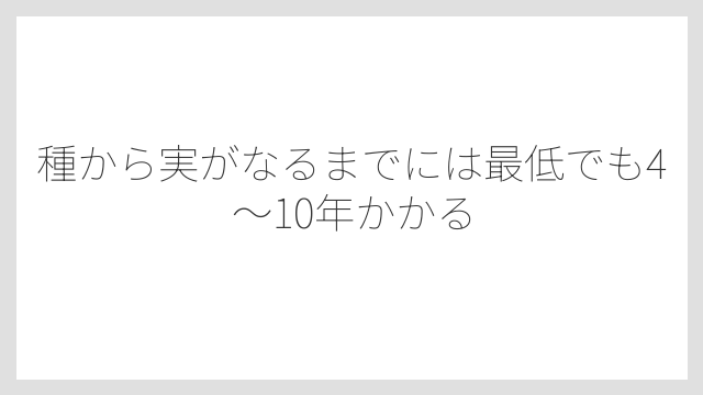 種から実がなるまでには最低でも4〜10年かかる