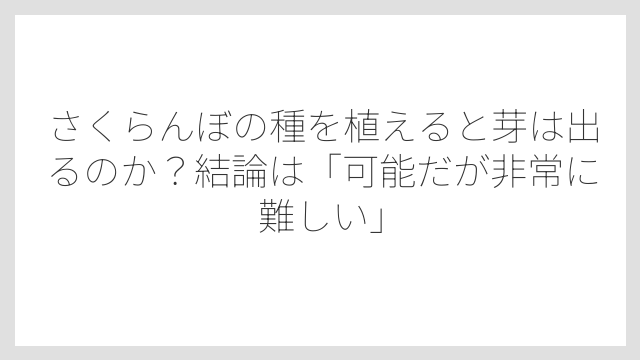 さくらんぼの種を植えると芽は出るのか？結論は「可能だが非常に難しい」