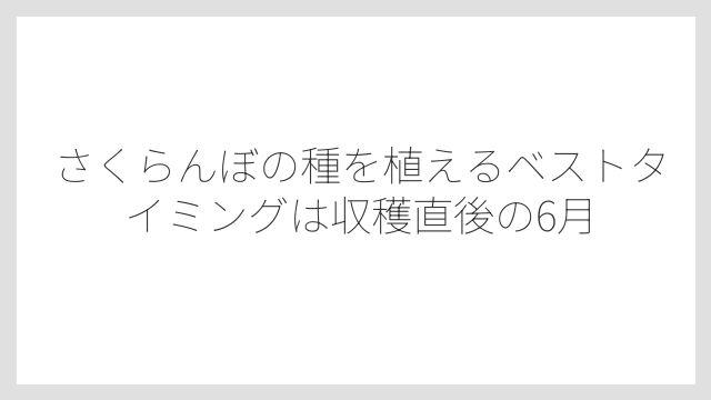 さくらんぼの種を植えるベストタイミングは収穫直後の6月