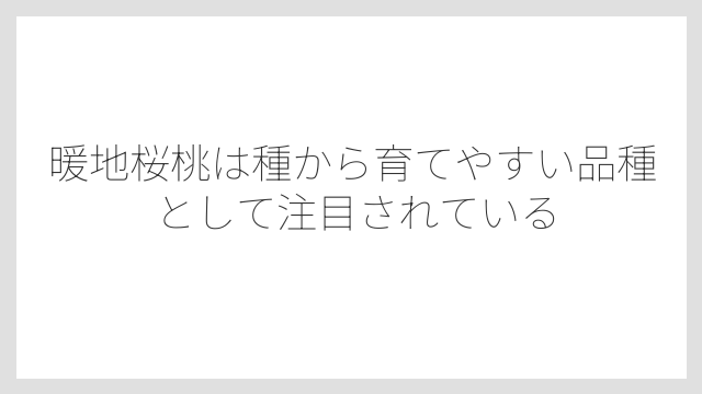 暖地桜桃は種から育てやすい品種として注目されている
