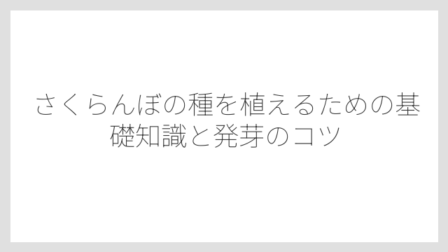さくらんぼの種を植えるための基礎知識と発芽のコツ