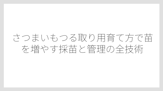 水耕栽培と温床栽培どちらを選ぶかは目的の苗の数で決まる