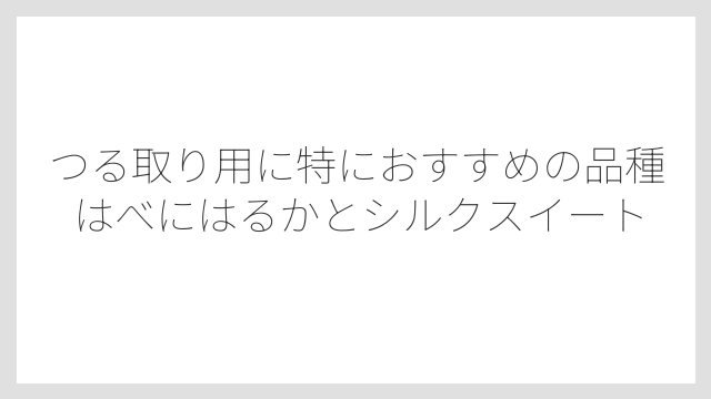 つる取り用に特におすすめの品種はべにはるかとシルクスイート