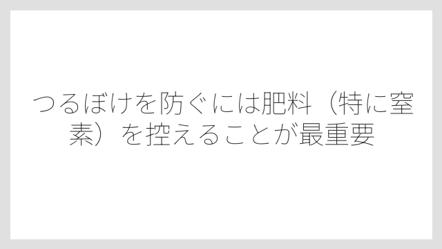 つるぼけを防ぐには肥料（特に窒素）を控えることが最重要