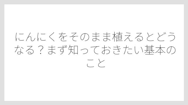 にんにくをそのまま植えるとどうなる？まず知っておきたい基本のこと