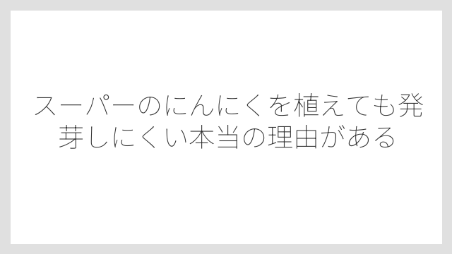 スーパーのにんにくを植えても発芽しにくい本当の理由がある
