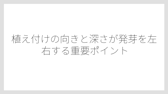 植え付けの向きと深さが発芽を左右する重要ポイント