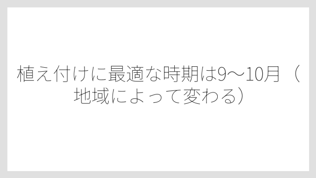 植え付けに最適な時期は9〜10月（地域によって変わる）
