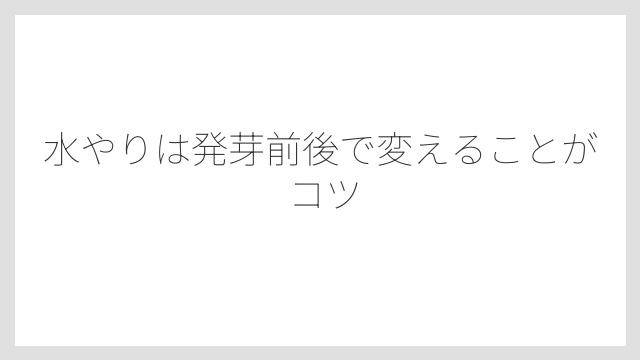水やりは発芽前後で変えることがコツ