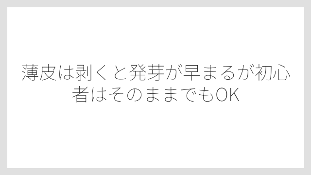 薄皮は剥くと発芽が早まるが初心者はそのままでもOK