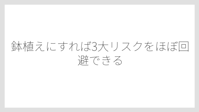 鉢植えにすれば3大リスクをほぼ回避できる