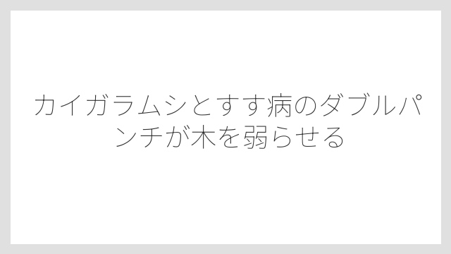 カイガラムシとすす病のダブルパンチが木を弱らせる