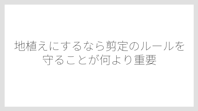 地植えにするなら剪定のルールを守ることが何より重要