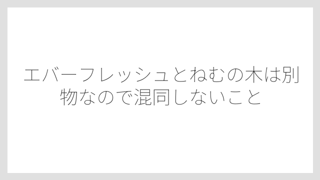 エバーフレッシュとねむの木は別物なので混同しないこと