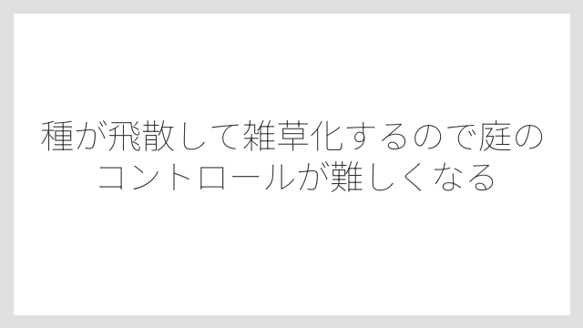 種が飛散して雑草化するので庭のコントロールが難しくなる
