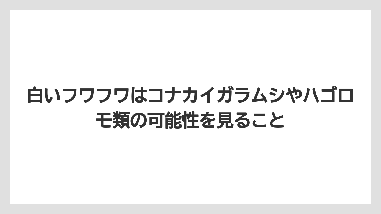 【ソヨゴ】【栽培】【農業】白いフワフワはコナカイガラムシやハゴロモ類の可能性を見ること