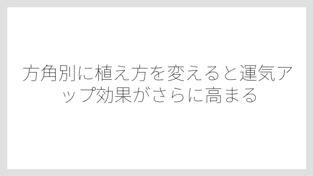 方角別に植え方を変えると運気アップ効果がさらに高まる