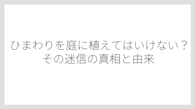 ひまわりを庭に植えてはいけない？その迷信の真相と由来