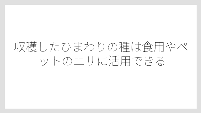 収穫したひまわりの種は食用やペットのエサに活用できる