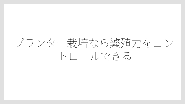 プランター栽培なら繁殖力をコントロールできる