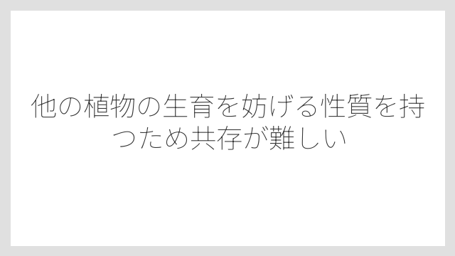 他の植物の生育を妨げる性質を持つため共存が難しい