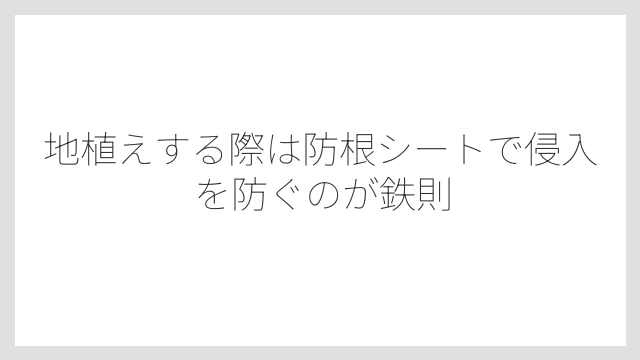 地植えする際は防根シートで侵入を防ぐのが鉄則