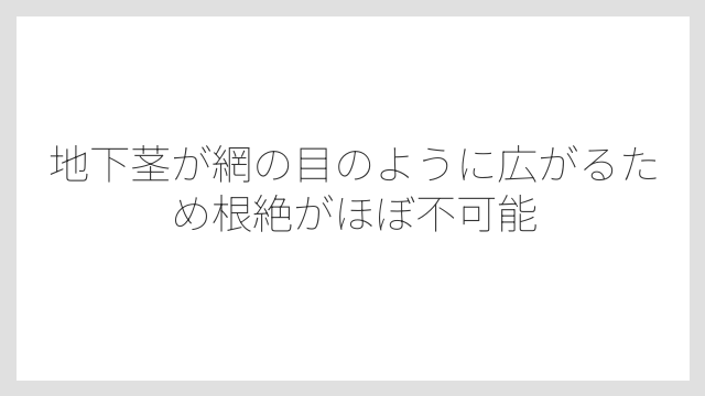 地下茎が網の目のように広がるため根絶がほぼ不可能