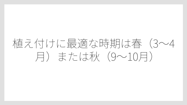 植え付けに最適な時期は春（3〜4月）または秋（9〜10月）