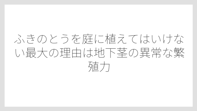 ふきのとうを庭に植えてはいけない最大の理由は地下茎の異常な繁殖力