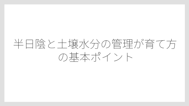 半日陰と土壌水分の管理が育て方の基本ポイント