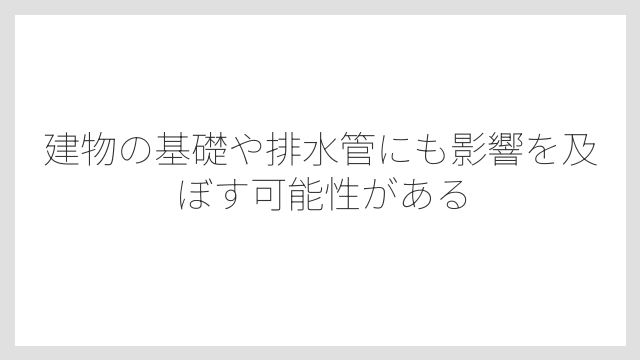 建物の基礎や排水管にも影響を及ぼす可能性がある