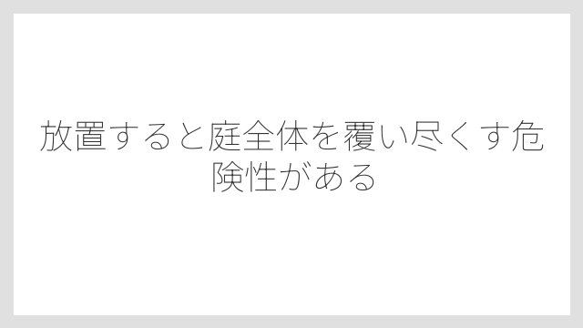 放置すると庭全体を覆い尽くす危険性がある