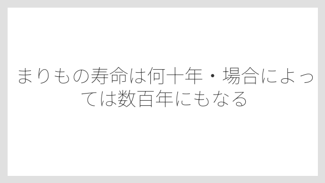 まりもの寿命は何十年・場合によっては数百年にもなる