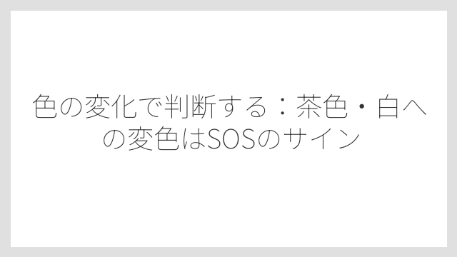 色の変化で判断する：茶色・白への変色はSOSのサイン