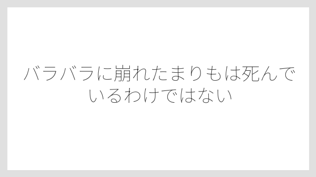 バラバラに崩れたまりもは死んでいるわけではない