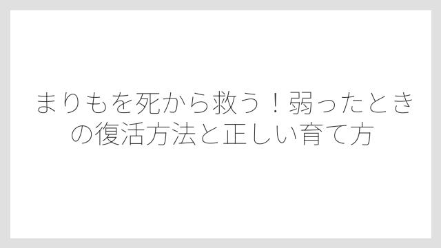 バラバラに崩れたまりもは死んでいるわけではない