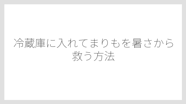 冷蔵庫に入れてまりもを暑さから救う方法