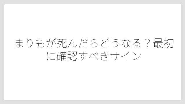 まりもが死んだらどうなる？最初に確認すべきサイン