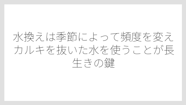 水換えは季節によって頻度を変えカルキを抜いた水を使うことが長生きの鍵