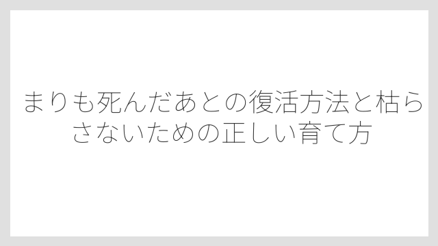 まりもには休眠状態があり成長が止まっても死んでいるわけではない