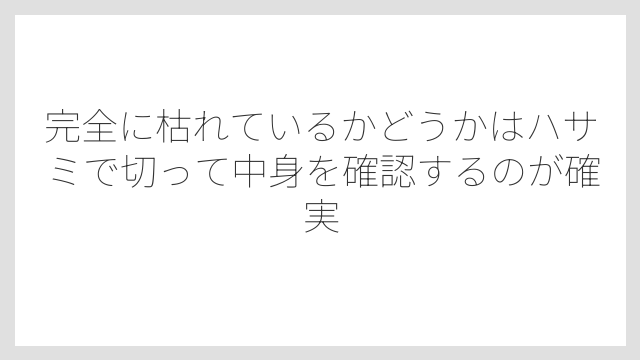 完全に枯れているかどうかはハサミで切って中身を確認するのが確実