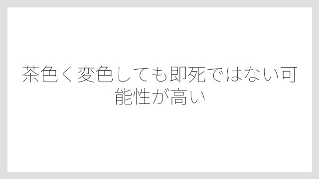 茶色く変色しても即死ではない可能性が高い
