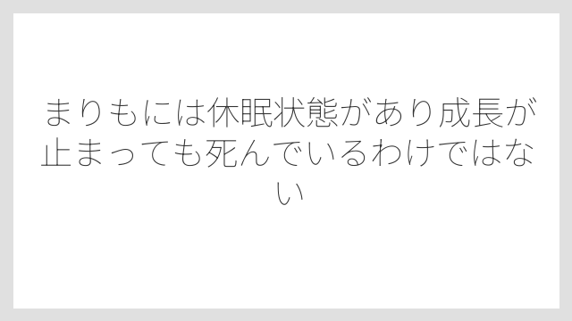 まりもには休眠状態があり成長が止まっても死んでいるわけではない