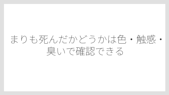 まりも死んだかどうかは色・触感・臭いで確認できる