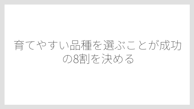 育てやすい品種を選ぶことが成功の8割を決める
