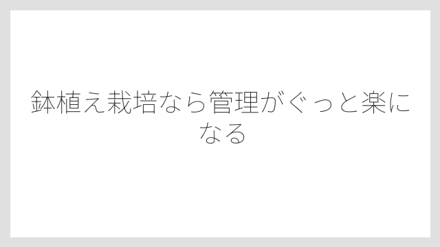 鉢植え栽培なら管理がぐっと楽になる