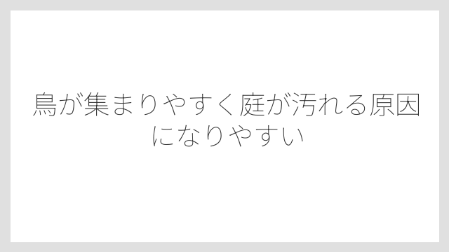 鳥が集まりやすく庭が汚れる原因になりやすい