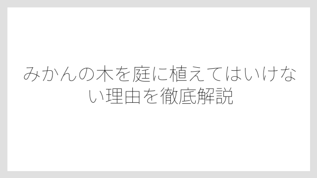 みかんの木を庭に植えてはいけない理由を徹底解説