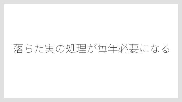 落ちた実の処理が毎年必要になる