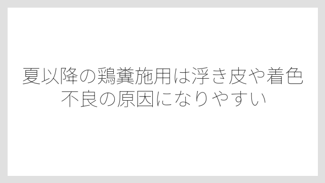 夏以降の鶏糞施用は浮き皮や着色不良の原因になりやすい